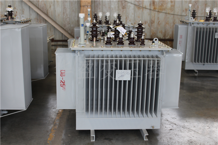 柳州S20-800kVA/10kV/0.4kV变压器